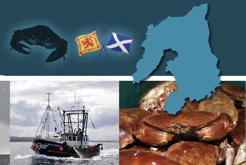 Islay Crab Exports